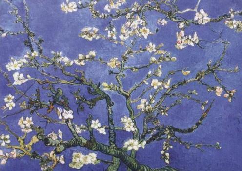 Amandier en fleur, Almond-tree in Blossom (Almond Blossom), Blühende Mandelbaumzweige (Mandelblüte), 1890 