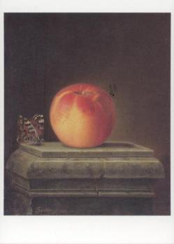 Stillleben mit Apfel und Insekten, Still-life with apple and insects. Nature morte à la pomme et aux insects, 1765 