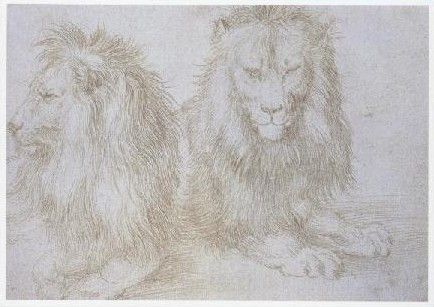 Zwei Studien eines Löwen. Two studies of a lion. Deux etudes d'un lion, 1521 