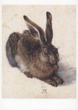Feldhase. Field Hare. Lievre, 1502 