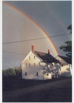 Shaker rainbow, 1998 