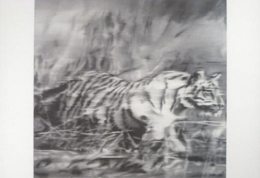 Tiger, 1965 
