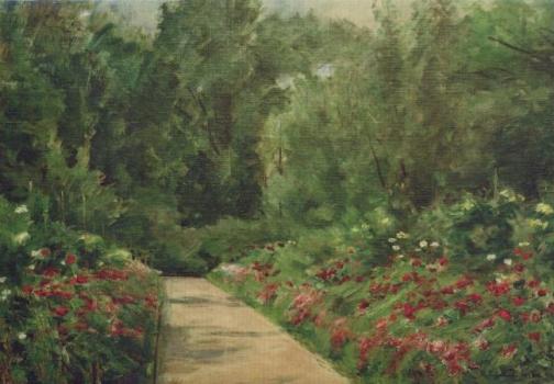 Gartenbeete mit Weg und Blumen, 1922 